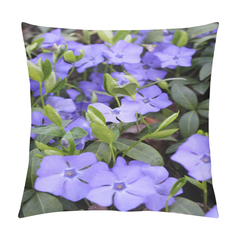 Personality  In The Spring In Nature Blooms Periwinkle Small (Vinca Minor) Pillow Covers