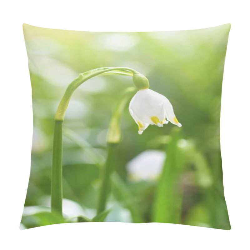 Personality  Spring Snowflakes Flowers. ( Leucojum Vernum Carpaticum) Beautiful Blooming Flowers In Forest With Natural Colored Background. Pillow Covers