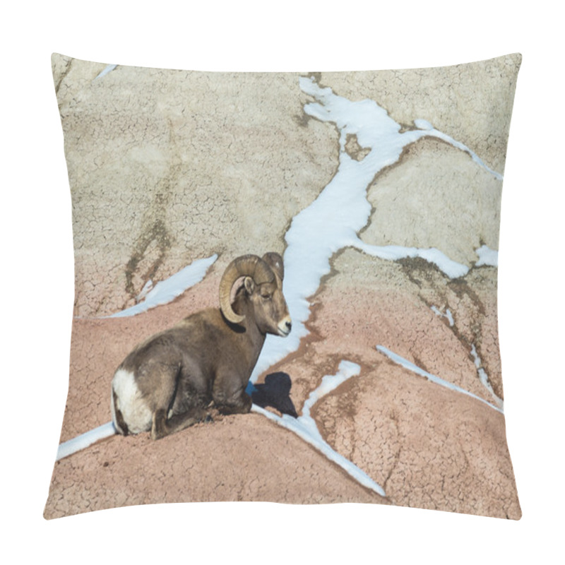 Personality  Bighorn Sheep Ram Pillow Covers