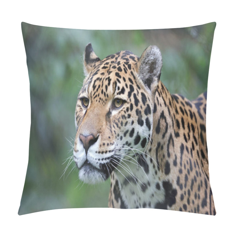 Personality  Close Up Of A Jaguar (Panthera Onca) Pillow Covers