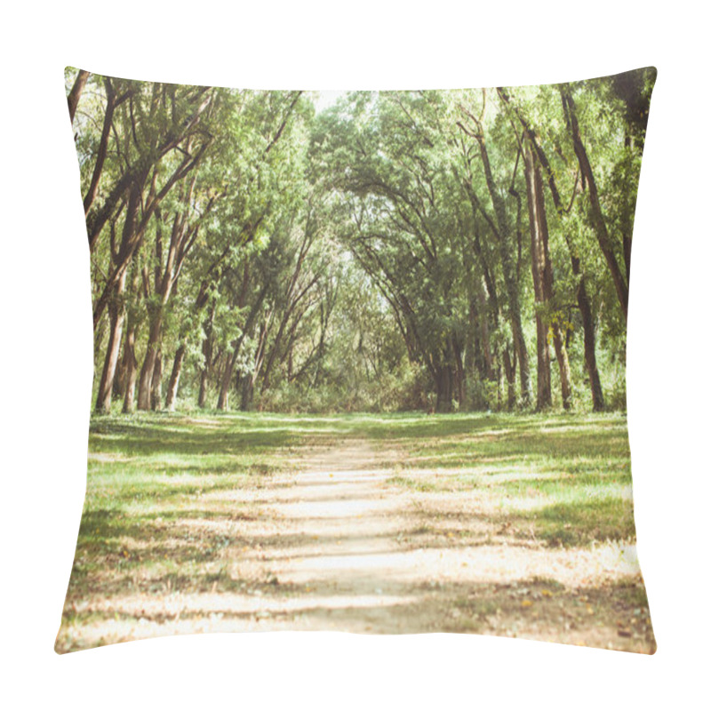 Personality  Fairytale Forest Landscape Pillow Covers