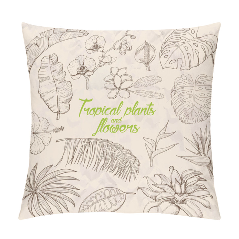 Personality  Set Of Isolated Tropical Plants And Flowers Pillow Covers