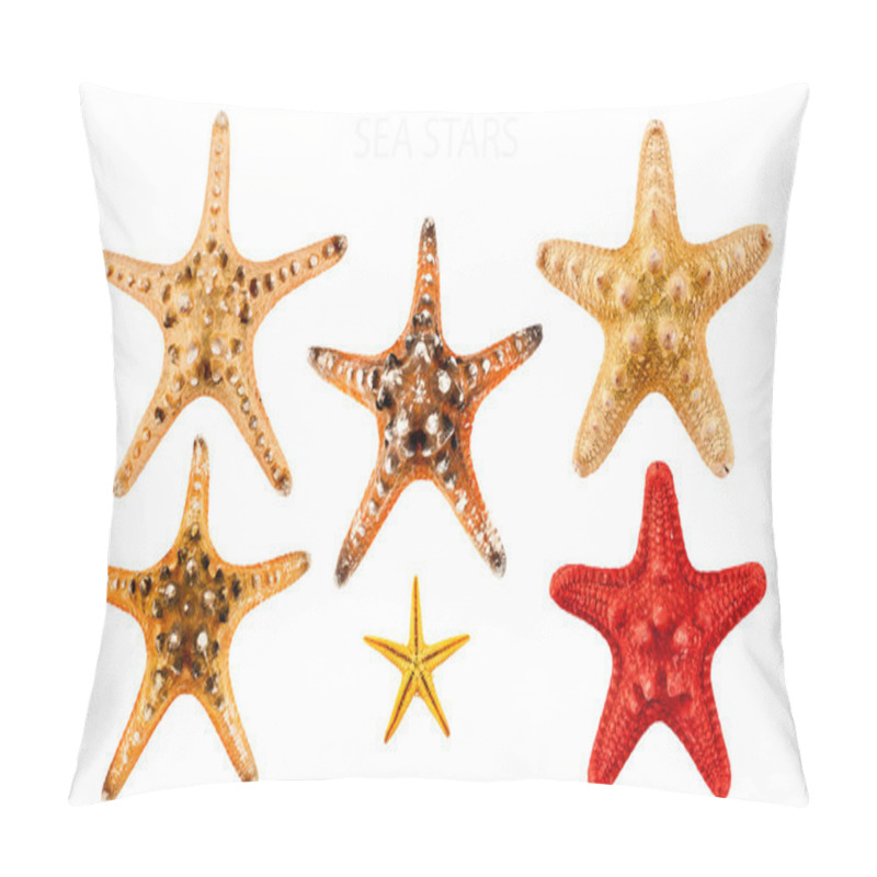 Personality  Sea Stars. Pillow Covers