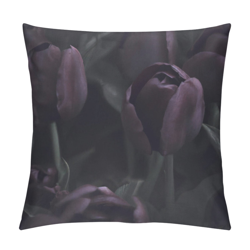 Personality  Black Tulips. Paul Scherer Tulip Buds. Selection And Tulip Mania. Botany, Floriculture, Horticulture And Landscape Design. A Symbol Of Memory Of Soldiers Who Died In Afghanistan And In Other Wars Pillow Covers