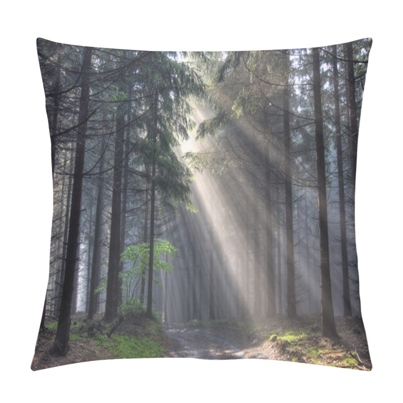 Personality  Sunshine - Coniferous Forest In Fog Pillow Covers