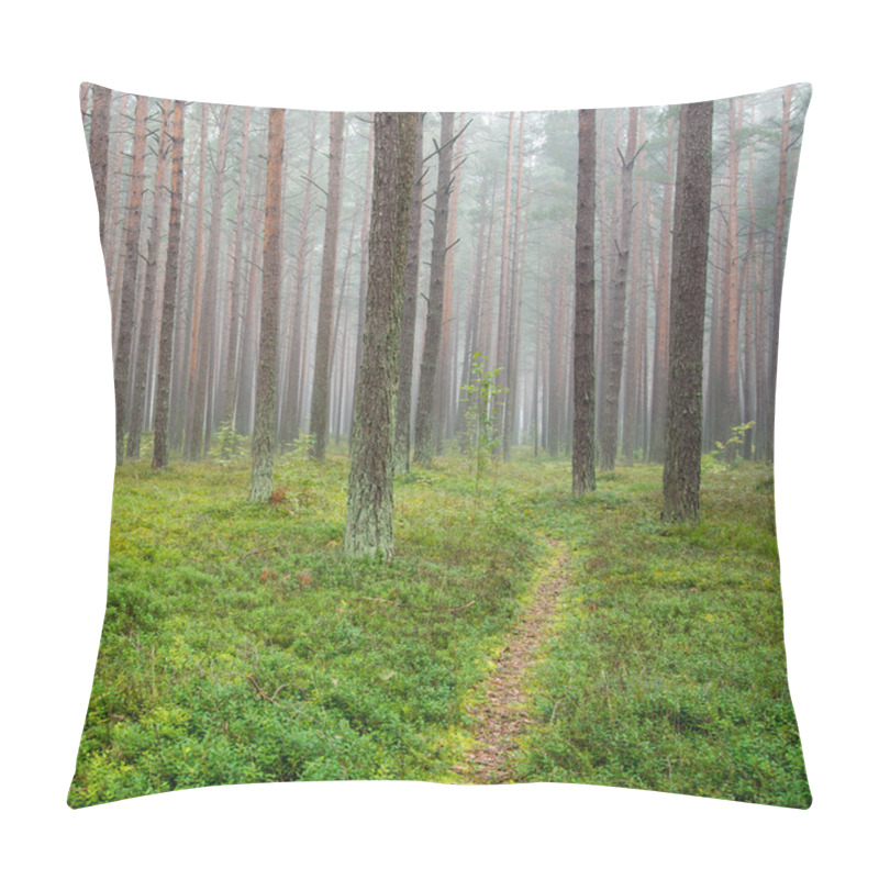 Personality  Misty Morning In The Woods Pillow Covers