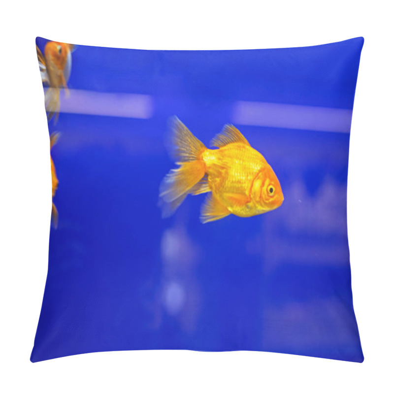 Personality   Beautiful Goldfish In An Aquarium. Traditions Pillow Covers