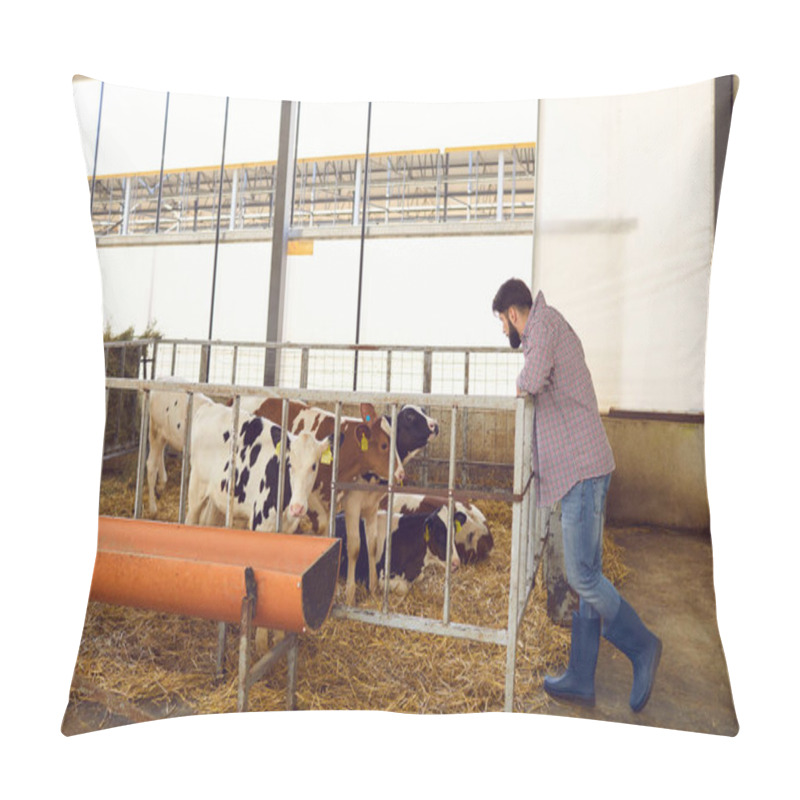 Personality  Caring Male Farmer Looking At Calves Standing In A Cage In A Huge Barn On A Livestock Farm. Pillow Covers