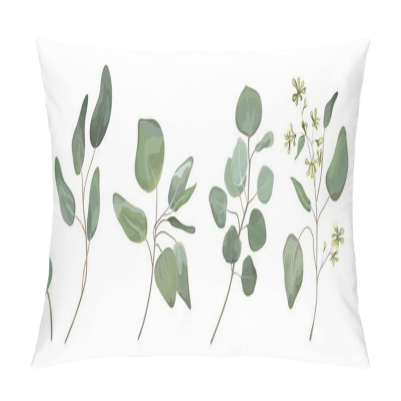 Personality  Eucalyptus Seeded Silver Dollar Tree Leaves Designer Art, Foliage, Natural Branches Elements In Watercolor Rustic Style Set Collection. Vector Nature Decorative Various Elegant Illustration For Design Pillow Covers