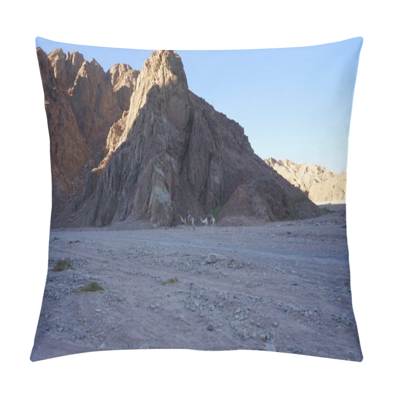 Personality  Camels Against The Background Of Mountains In The Picturesque Surroundings Of Dahab, South Sinai Governorate, Egypt   Pillow Covers