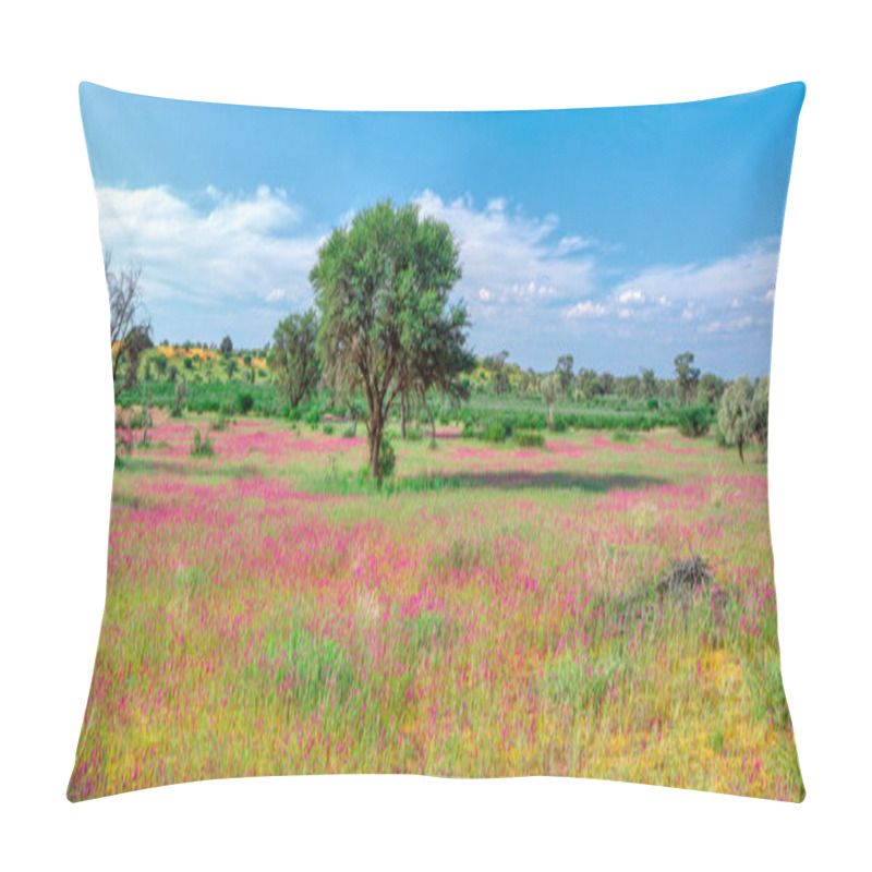 Personality  Flowering Kalahari Desert South Africa Wilderness Pillow Covers