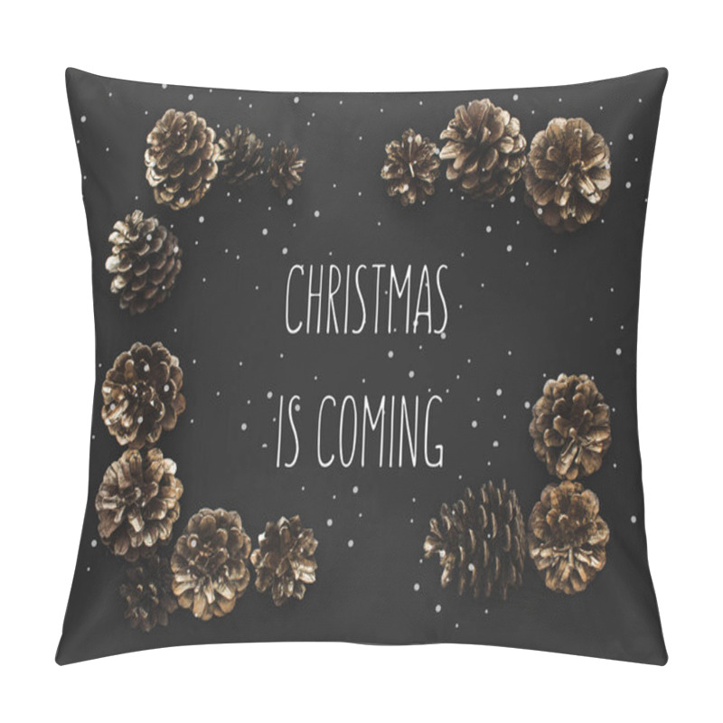 Personality  Frame Of Pine Cones  Pillow Covers