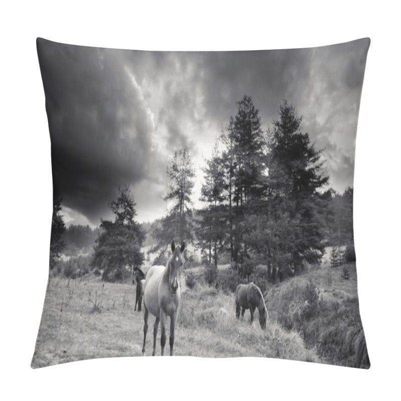 Personality  Black And White Horses Pillow Covers