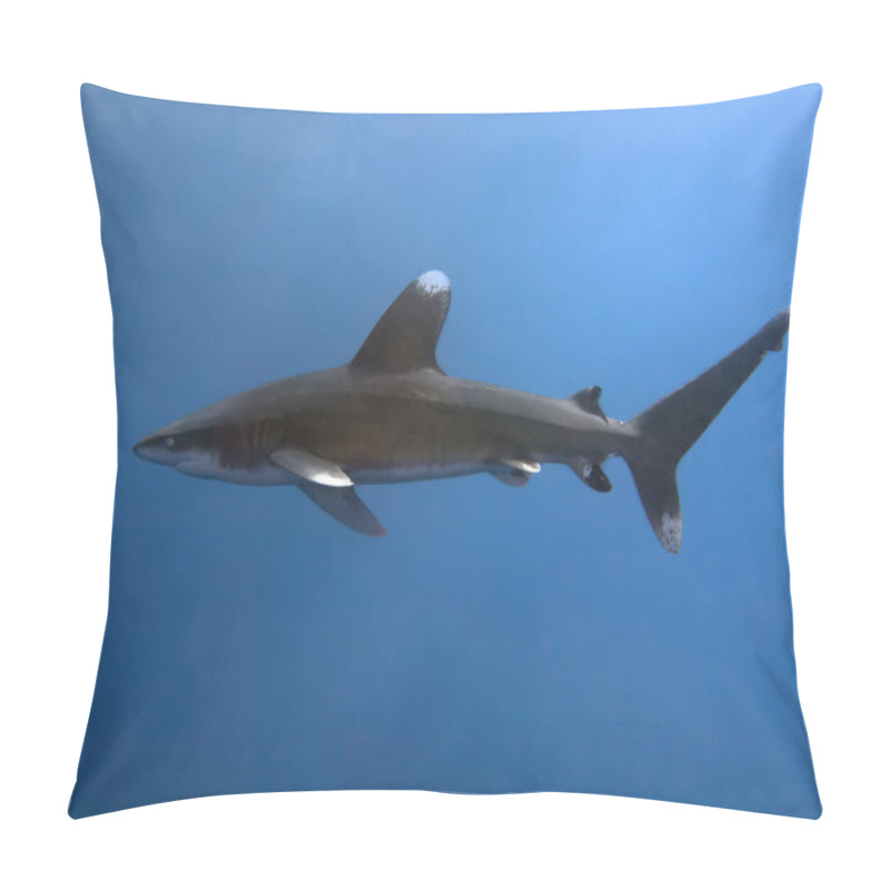 Personality  Oceanic Whitetip Shark Pillow Covers