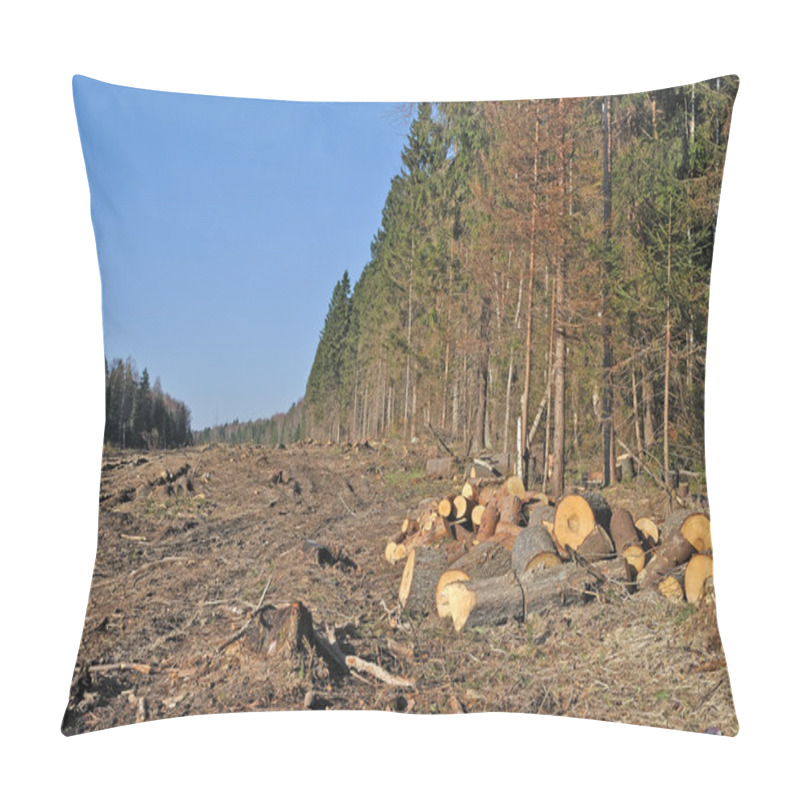 Personality  Deforested Area In Coniferous Forest With Piles Of Cutted Chocks, Russia Pillow Covers