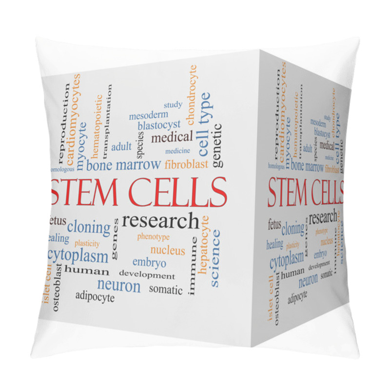 Personality  Stem Cells 3D Cube Word Cloud Concept Pillow Covers