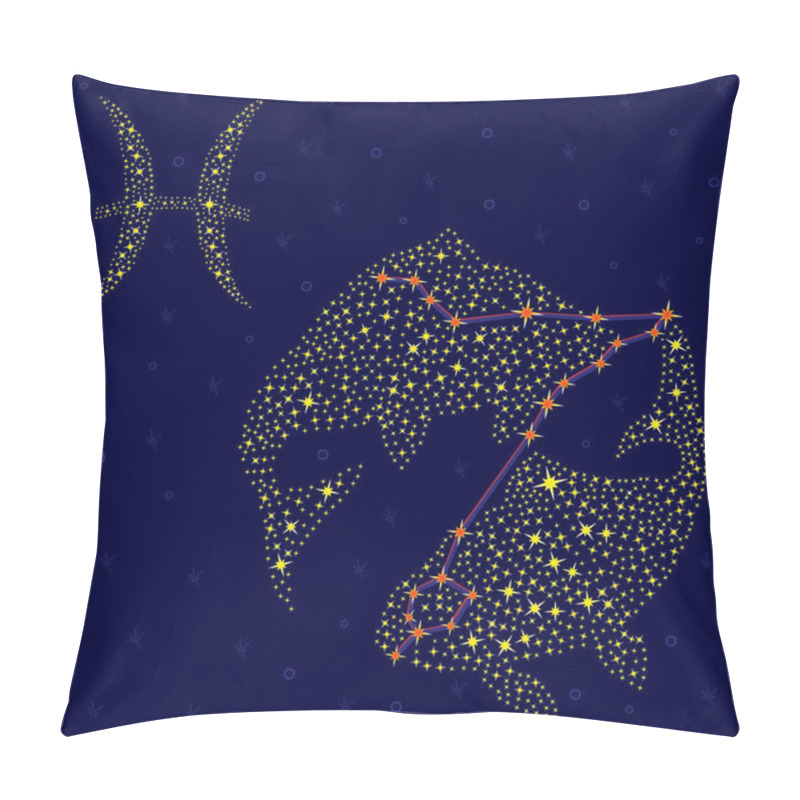 Personality  Zodiac Sign Pisces Over Starry Sky Pillow Covers