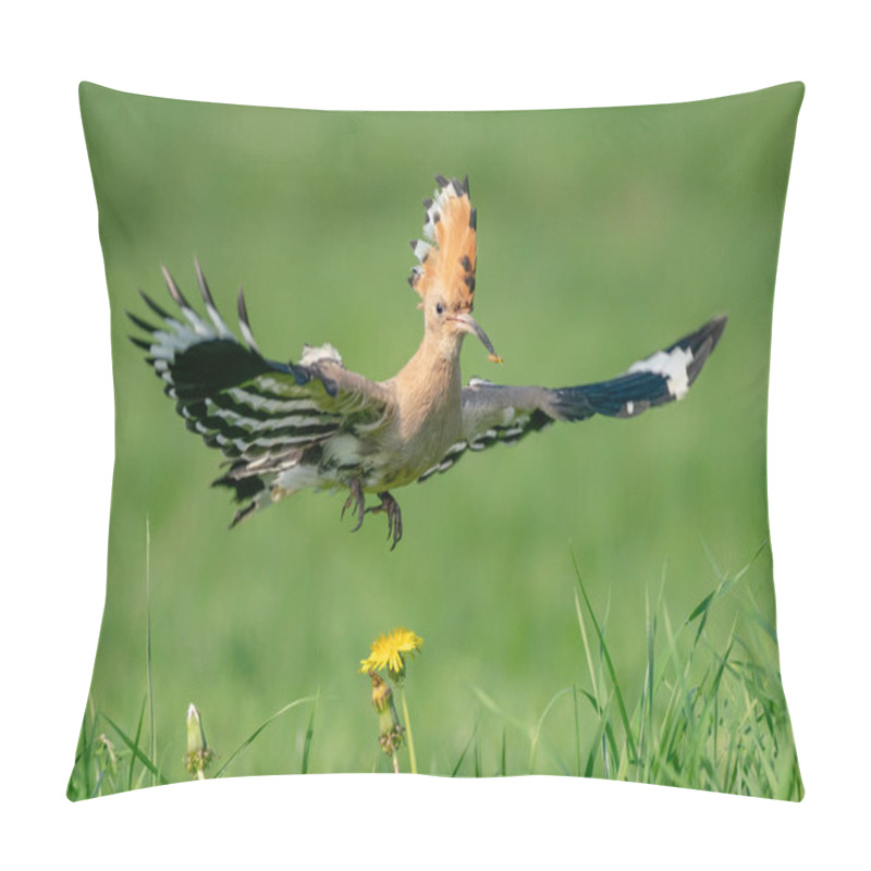 Personality  Eurasian Hoopoe (Upupa Epops) In Flight. State Bird Of Israel. Green Background. Pillow Covers