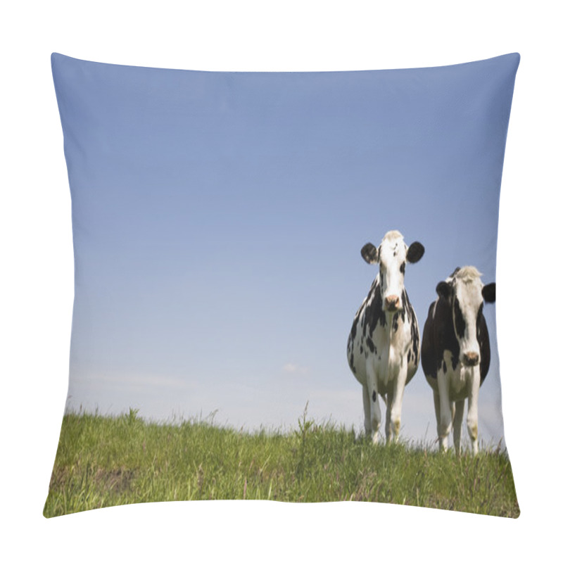 Personality  Dutch Cows In The Meadow Pillow Covers