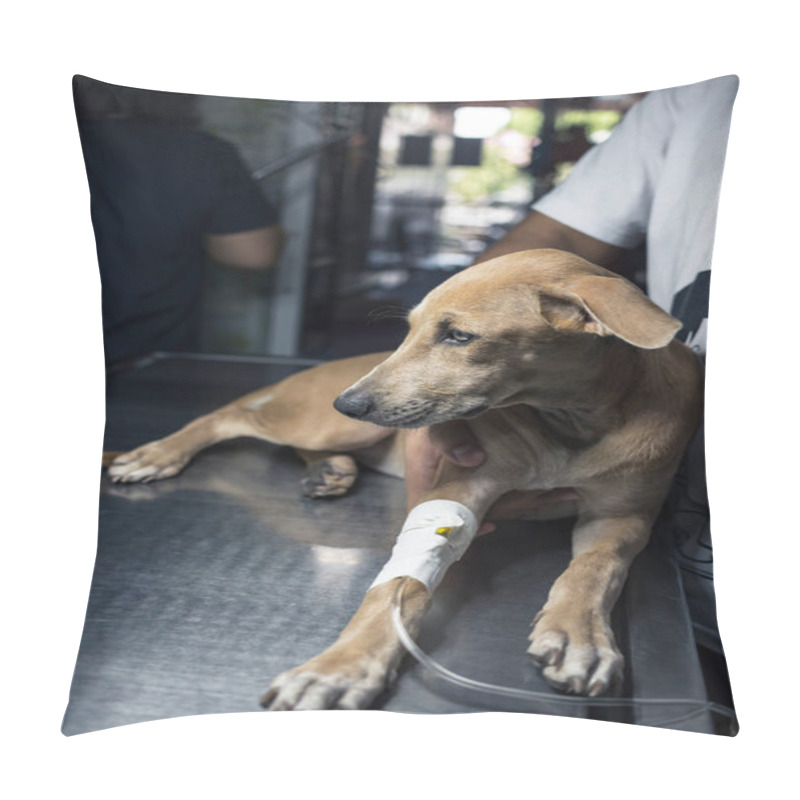 Personality  A Man Comforts A Female Puppy With An IV Drip Inserted Into Her Front Leg. Possibly Diagnosed With Canine Parvovirus, Distemper, Hepatitis Or Other Illness. Pillow Covers