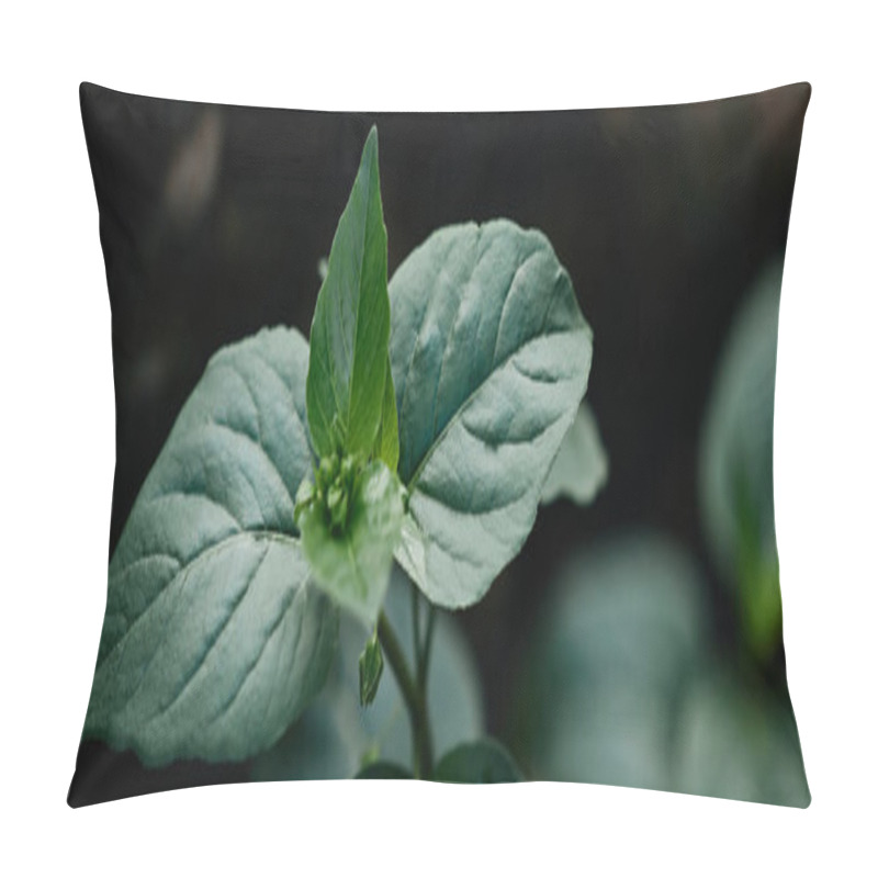 Personality  Selective Focus Of Green Leaves On Blurred Background  Pillow Covers