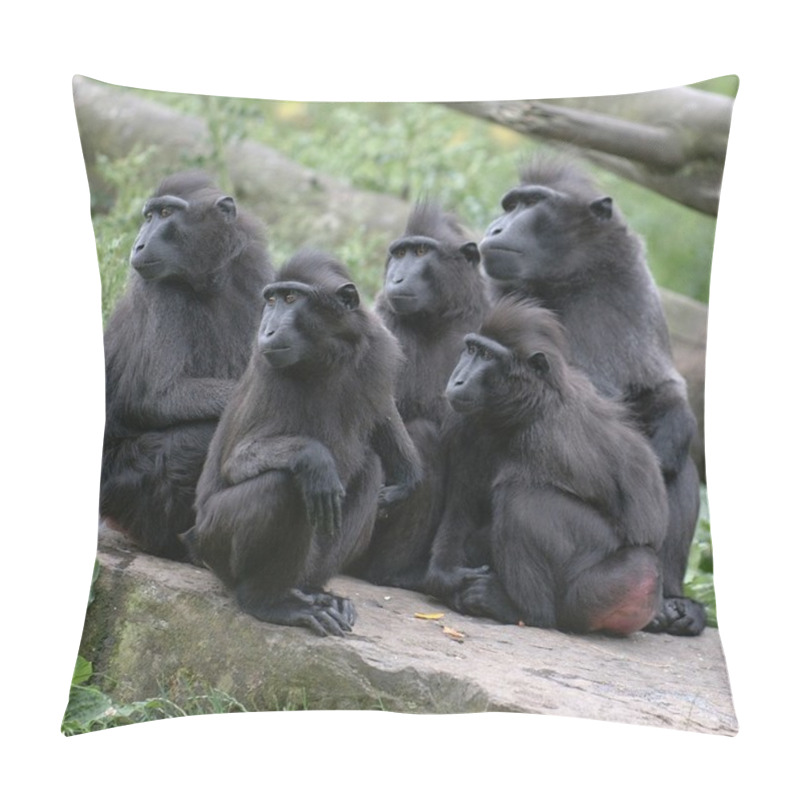 Personality  Monkeys Looking Left Pillow Covers