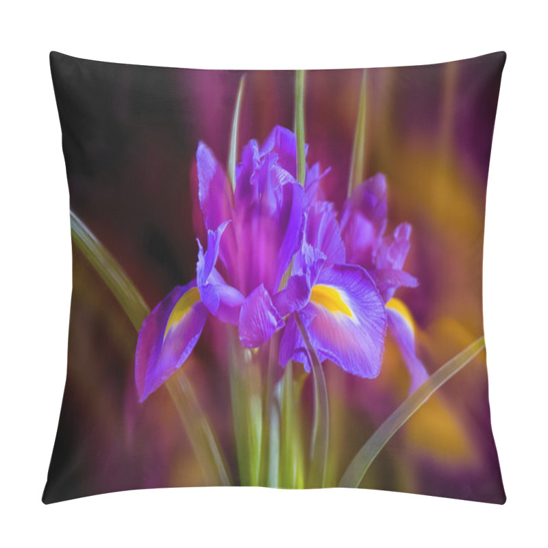 Personality  Card With A Bouquet Of Flowers Iris With Blur Pillow Covers