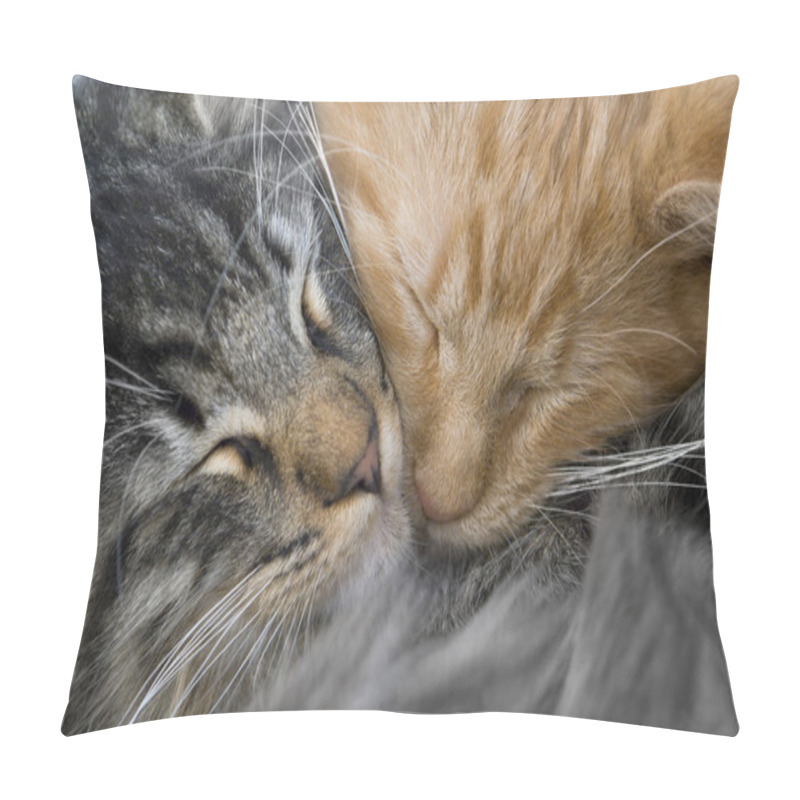 Personality  Snuggling Kittens Pillow Covers