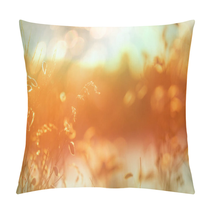 Personality  Sunny Day On The Flowers Meadow. Beautiful Natural Background. Pillow Covers