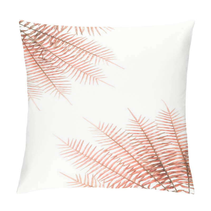 Personality  View From Above Of Arranged Red Fern Branches Isolated On White  Pillow Covers