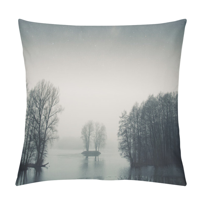 Personality  Night Lake Forest . Elements Of This Image Furnished By NASA Pillow Covers