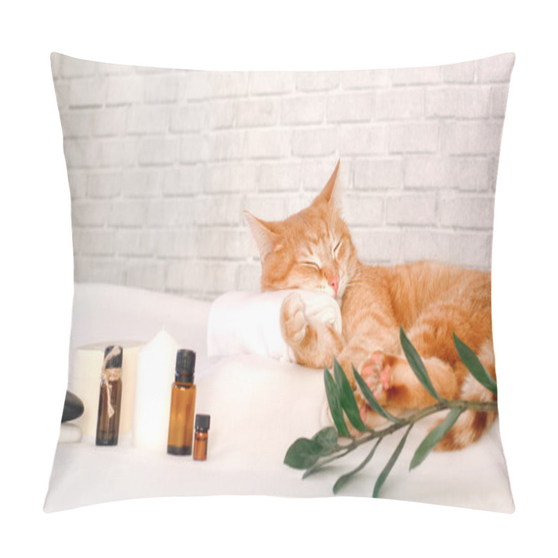 Personality  A Cat Sleeps Resting His Head On A Towel On A Massage Table Against The Background Of A Loft-style Wall, Relaxing While Taking Spa Treatments Pillow Covers