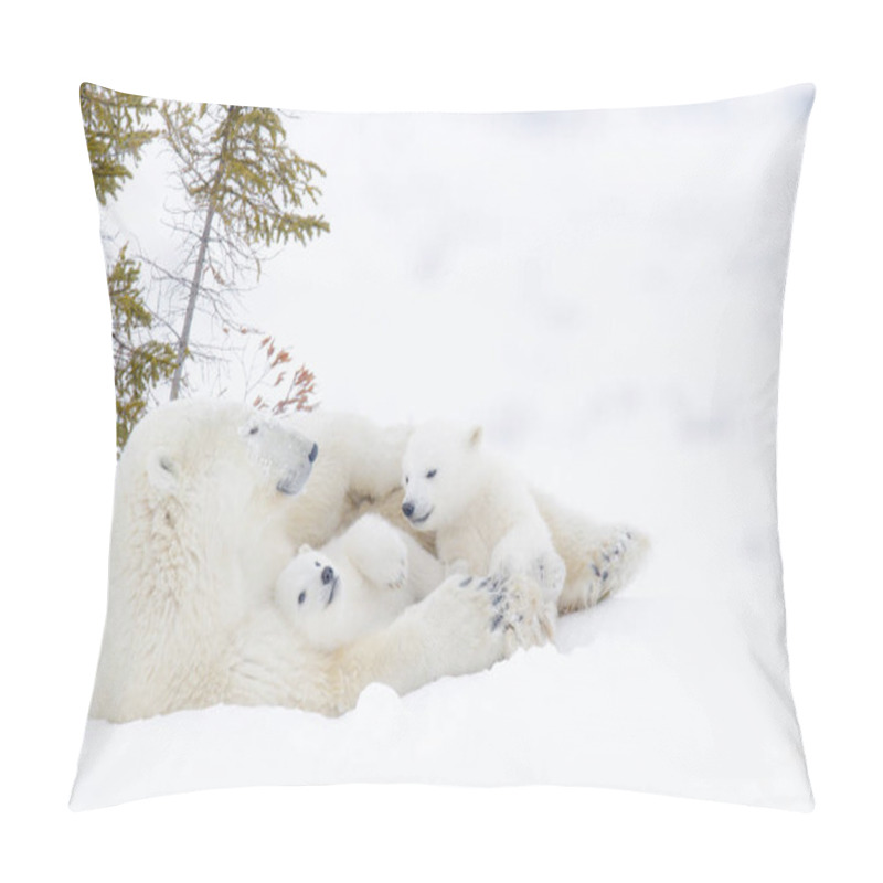 Personality  Polar Bear Mother (Ursus Maritimus) With Two Cubs, Wapusk National Park, Manitoba, Canada Pillow Covers