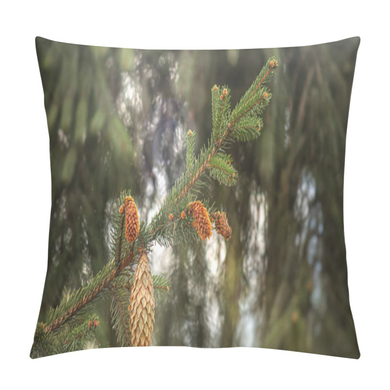 Personality  Spruce Branch With Cones In The Forest Under The Rays Of Elephant Light And Blurred Natural Background Pillow Covers