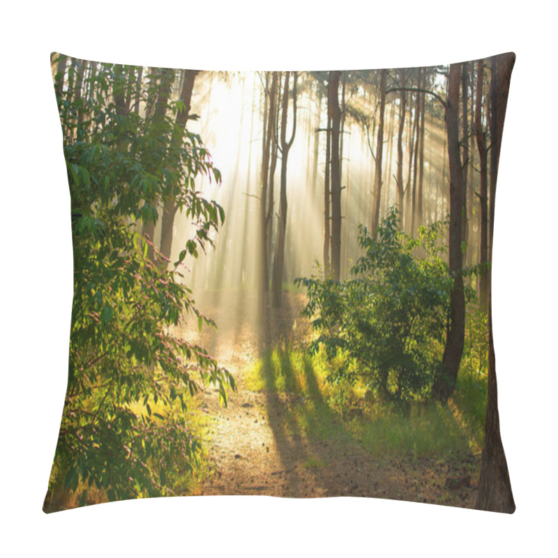 Personality  Morning. Sun Rays Awaken Nature. Pillow Covers