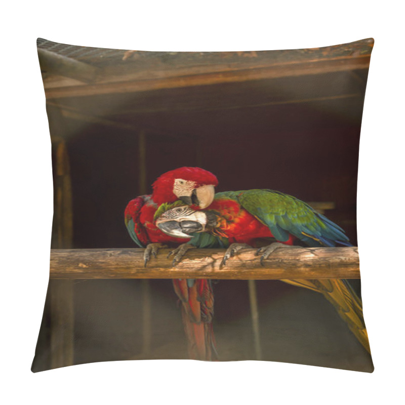 Personality  Couple Of Military Macaws, On The Perch To Courting Pillow Covers