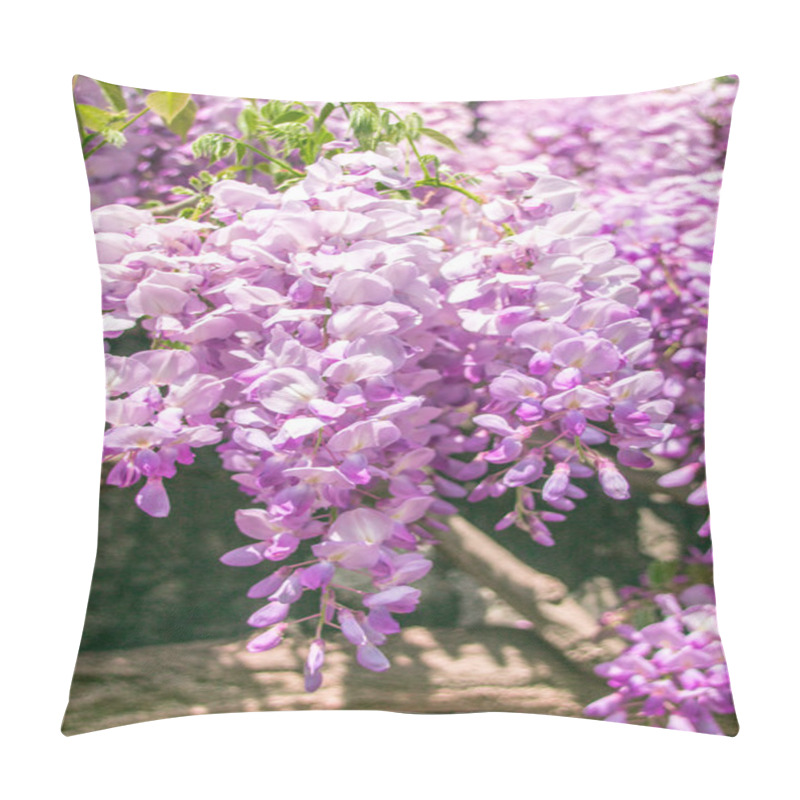 Personality  Wisteria Pillow Covers