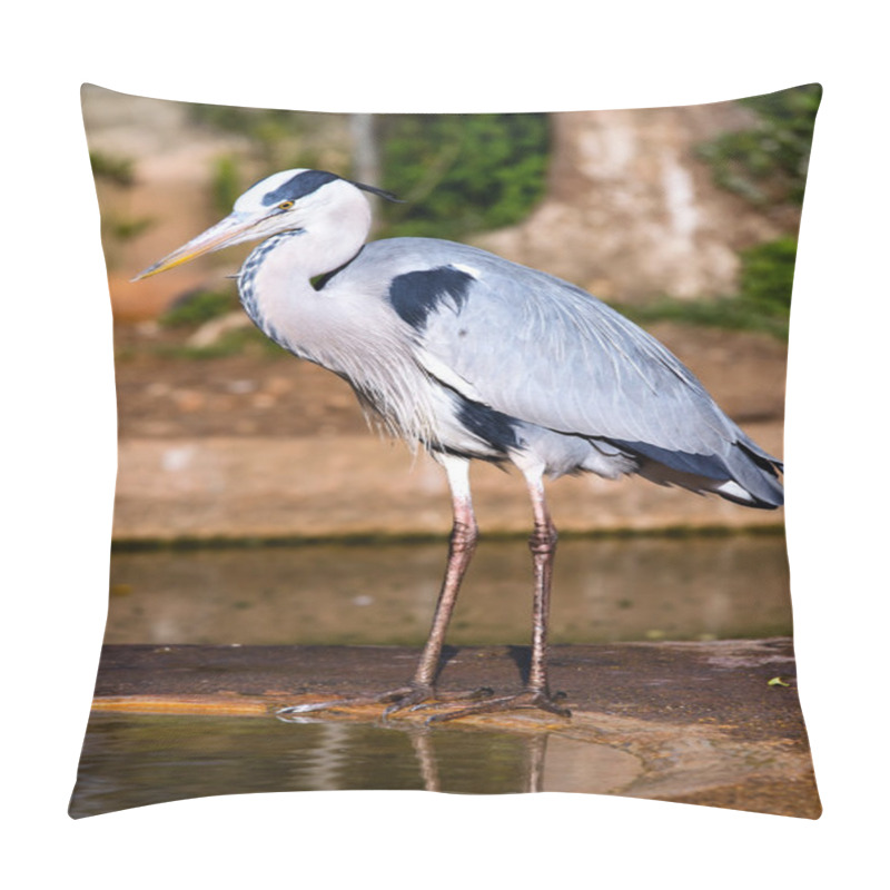 Personality  Gray Heron Pillow Covers