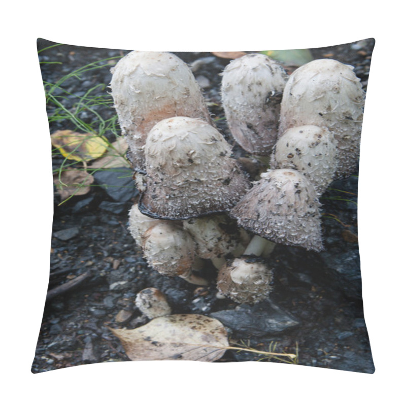 Personality  Tight Cluster Of Shaggy Mane Mushrooms Pillow Covers