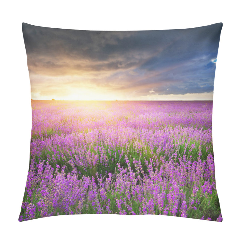 Personality  Meadow Of Lavender.  Pillow Covers