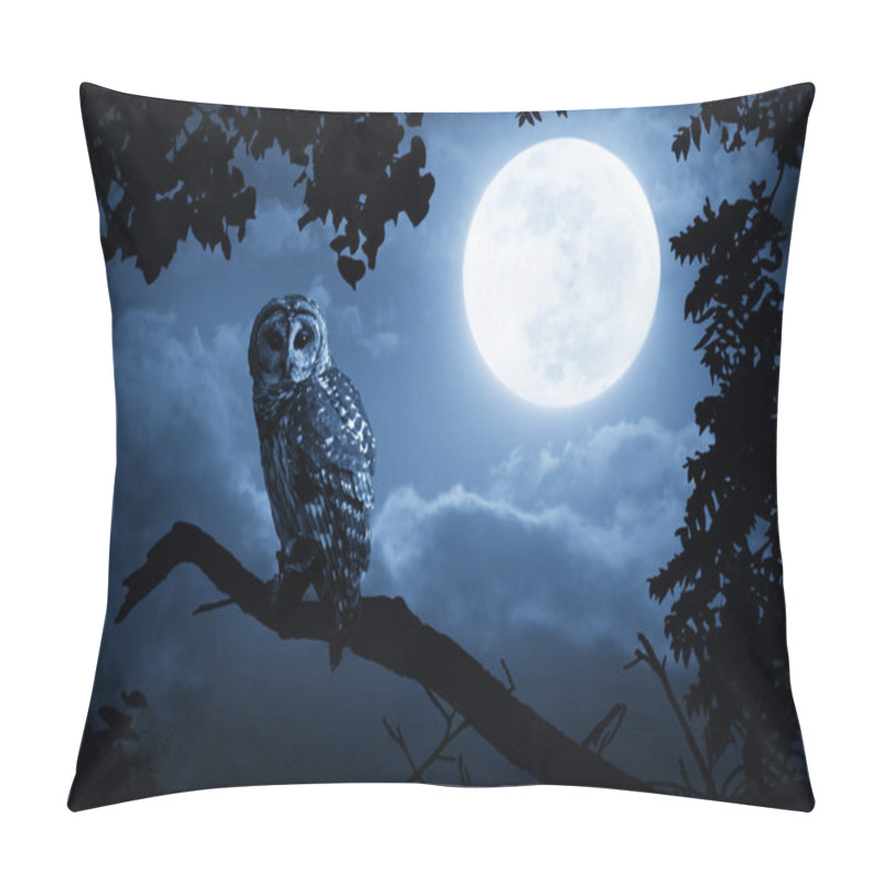 Personality  Owl Watches Intently Illuminated By Full Moon On Halloween Night Pillow Covers