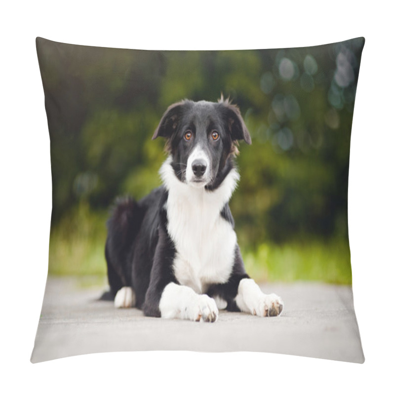 Personality  Black And White Border Collie Puppy Pillow Covers