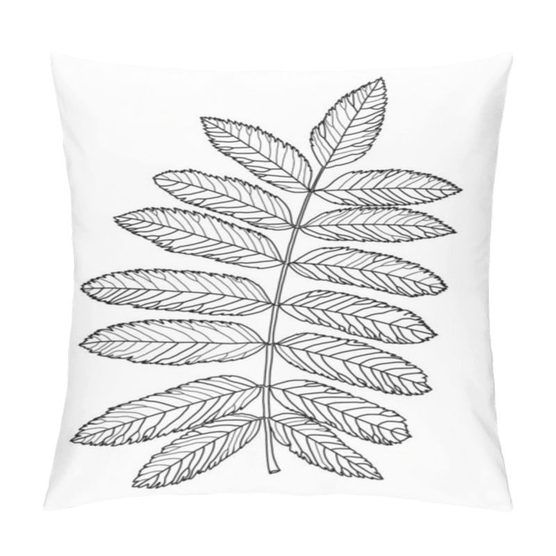 Personality  Linear Graphic Drawing Of Rowan Leaves Pillow Covers