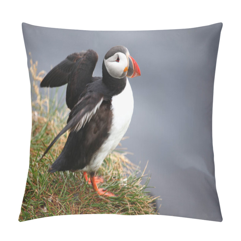 Personality  Atlantic Puffin At Wild Nature, Daytime View  Pillow Covers