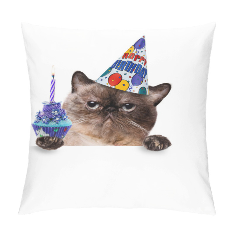 Personality  Birthday Cat . Pillow Covers