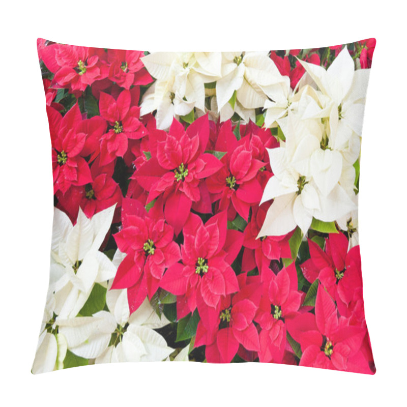 Personality  Red And White Poinsettias, Christmas Flowers Pillow Covers