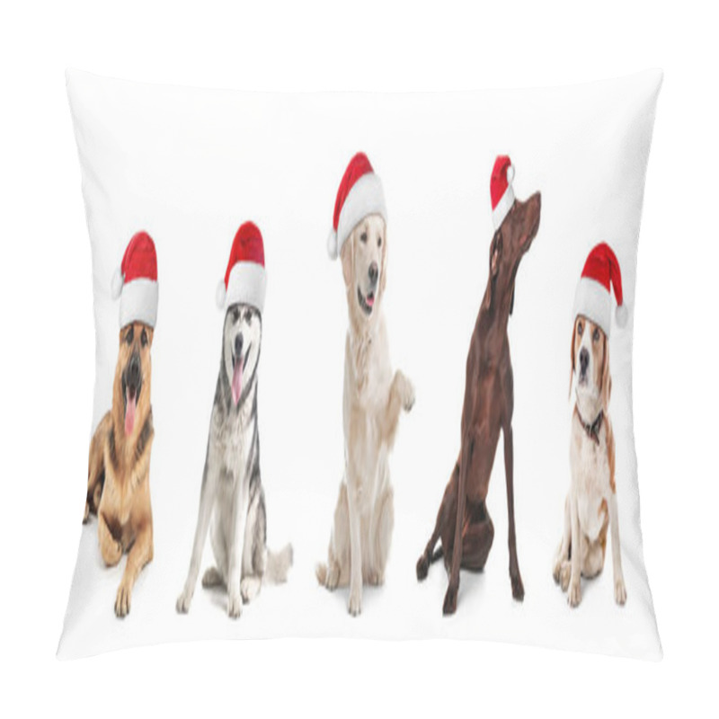 Personality  Row Of Cute Dogs With Santa Claus Hats On White Background. Christmas Concept  Pillow Covers