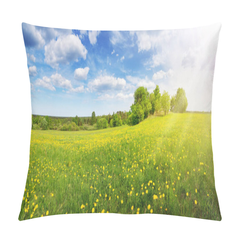 Personality  Sunshine On The Field With Blooming Dandelions In Natural Park. Concept Of The Family Vacation And Weekend. Pillow Covers