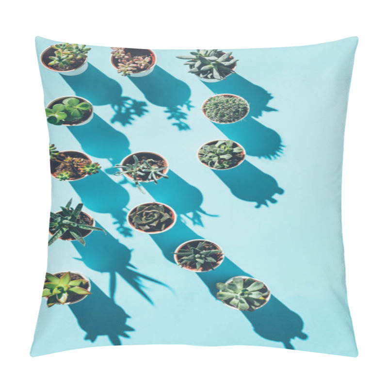 Personality  Top View Of Letter R Made From Green Potted Plants On Blue Pillow Covers