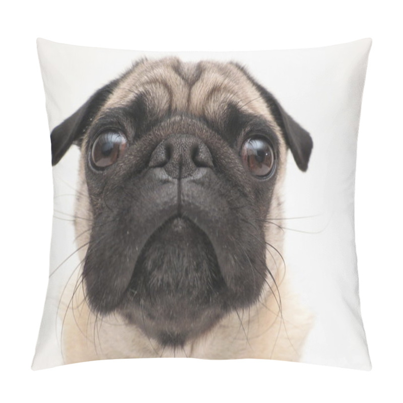 Personality  Pug Face Portrait Pillow Covers